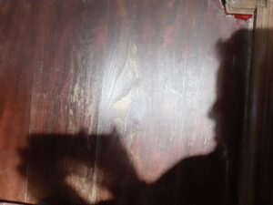Ombres bas-poitevines
