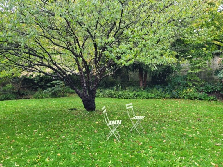 Deux chaises un amour