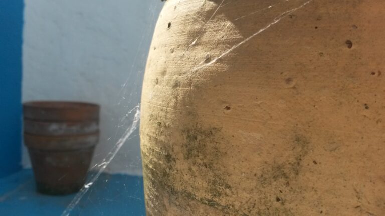 Le pot, la toile