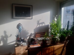Matinale septembrale