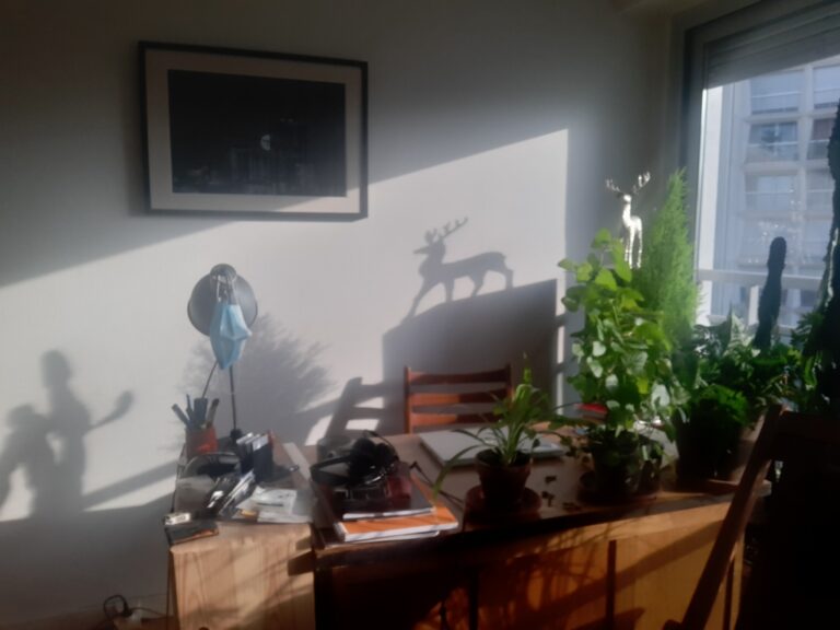 Matinale septembrale