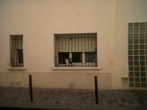 La vie quotidienne