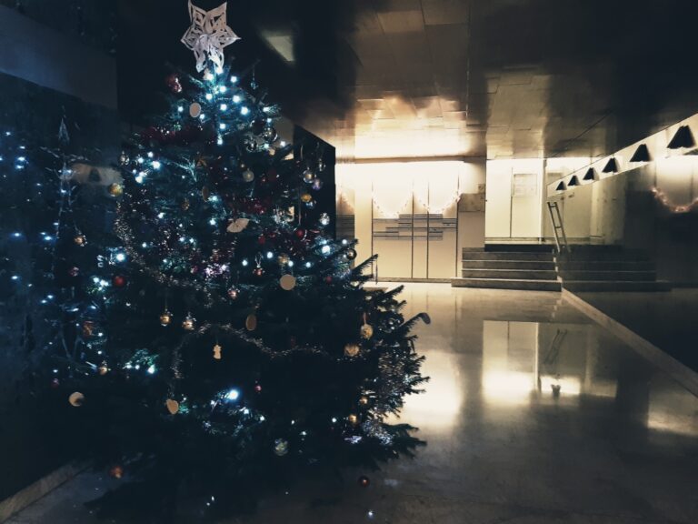Le sapin de Noël