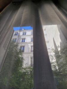 Assas dans la semi-fraîcheur de cette fin de matinée