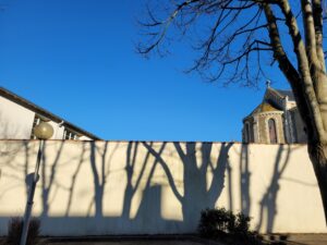 Hivernales ombres