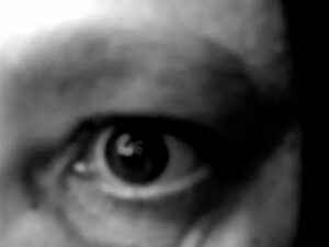 Oeil