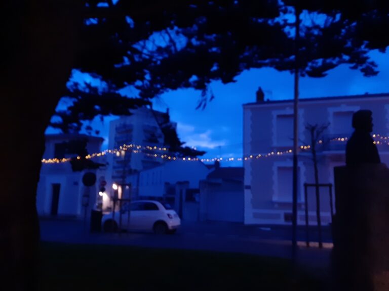 Bleu d’Olonne