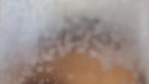 grains