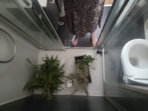 Réfugiés climatiques