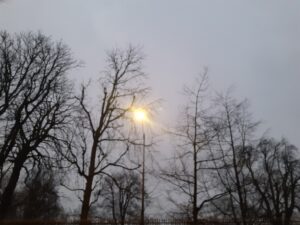 Le cri jaune dans la nuit
