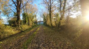 Au fond, Saint-Sornin