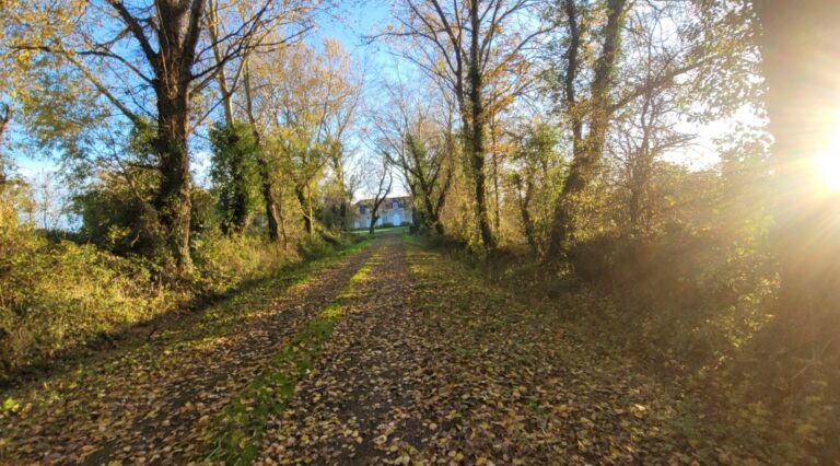 Au fond, Saint-Sornin