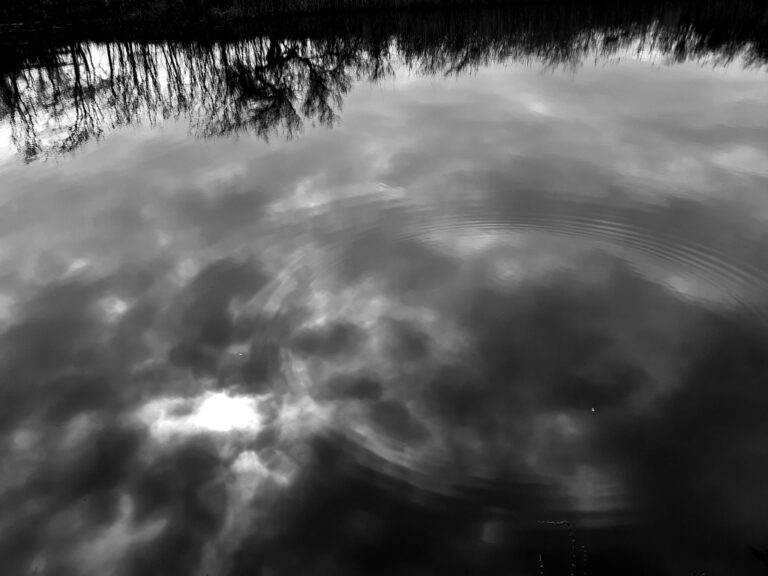Des ronds dans l&rsquo;eau