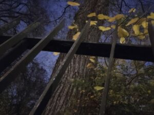 Les grilles de nuit