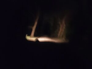 Un bout de nuit volé, un mariage en Vendée