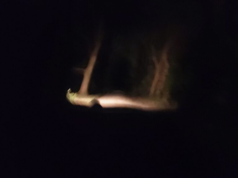 Un bout de nuit volé, un mariage en Vendée