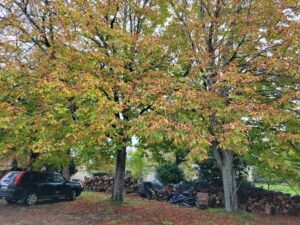 La campagne, l’automne