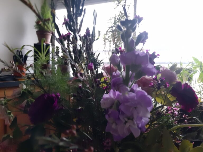 Le bouquet du roi Renaud
