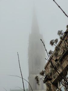 Brume