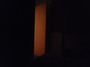 Nuit orteaulienne