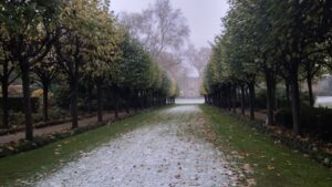 Champ-Goyon de novembre