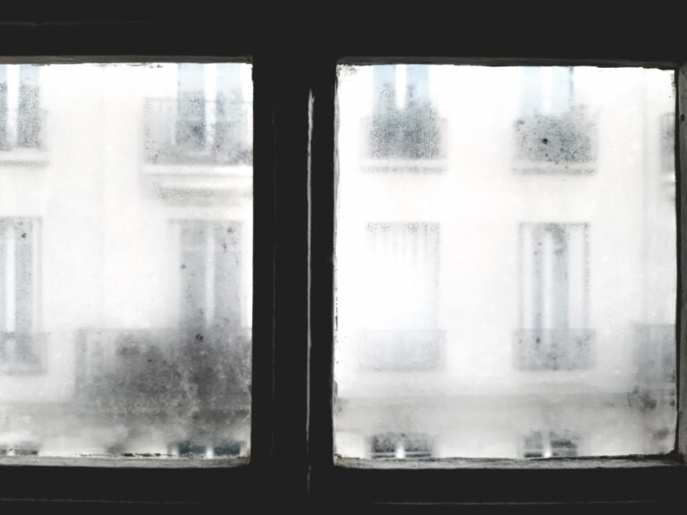 Décembre en attendant