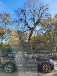 Descendre la rue Guynemer un dimanche après-midi