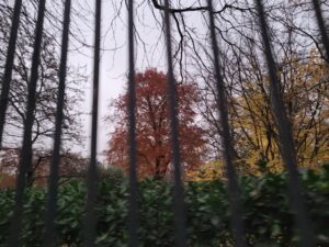 Le Luxembourg