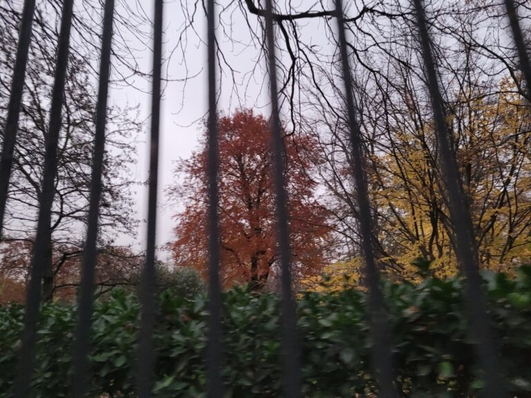 Le Luxembourg