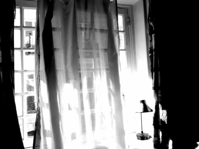 Reflets obscurs