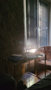 Morning half-glory