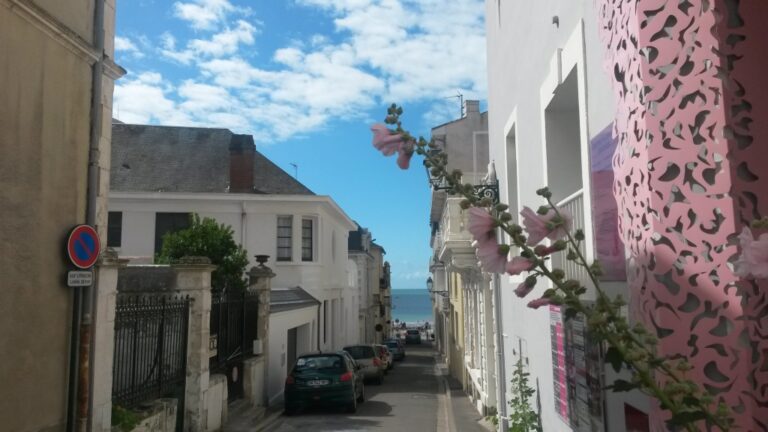 Trémière sur mer