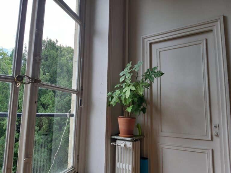 Mon bureau massaïote