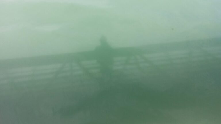 Reflets dans un oeil vert