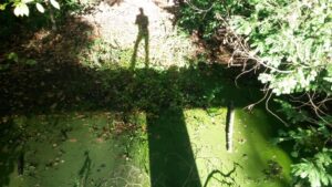 Miroir