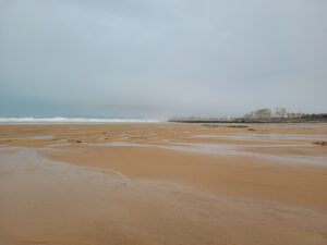 Sables d’automne