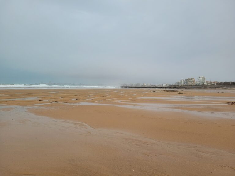 Sables d’automne