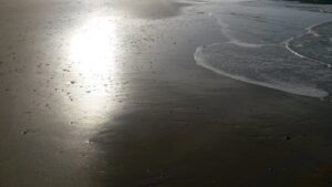 L’onde-vague