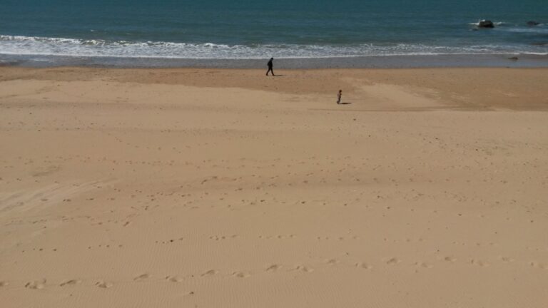 L&rsquo;oncle et le neveu