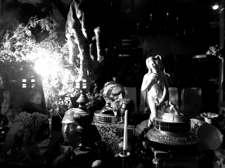 La vitrine nocturne