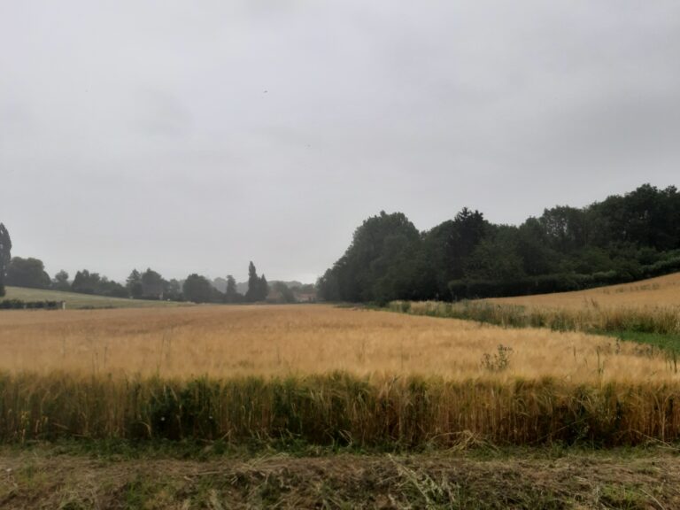 La campagne de Fontenay