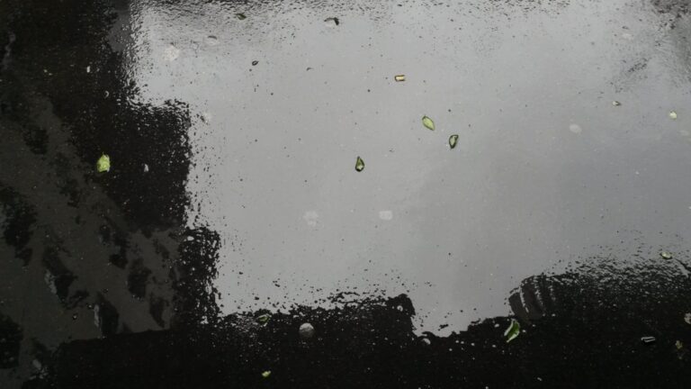 Miroir hivernal