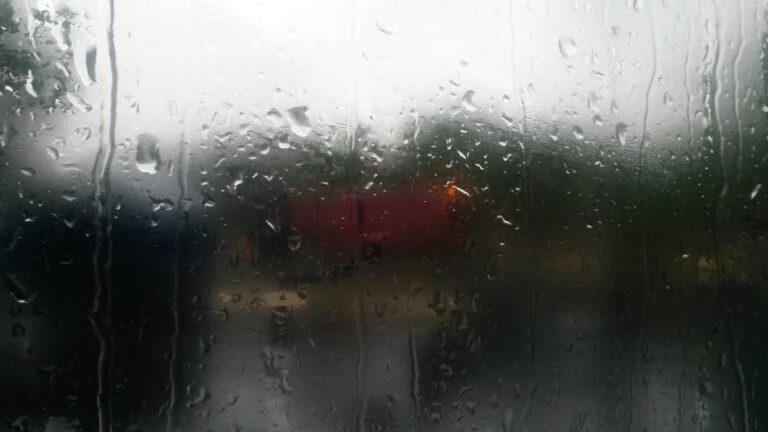 Le 91 sous la pluie