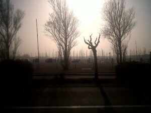 Frisson