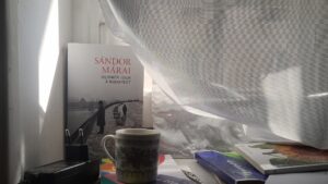Café Sandor