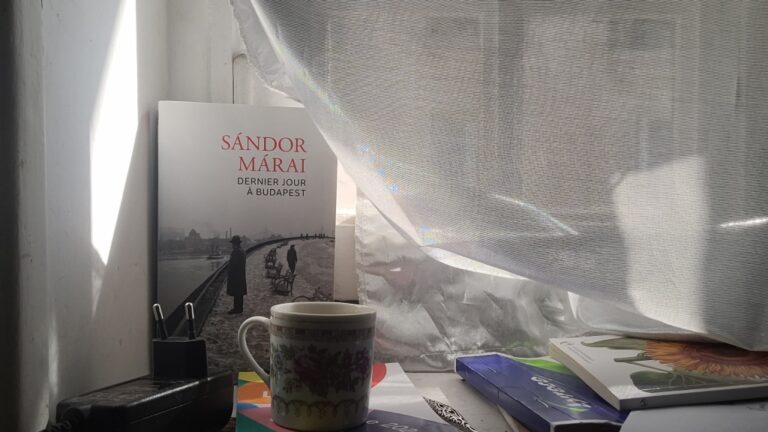 Café Sandor
