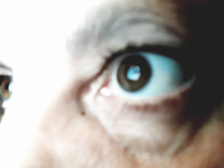 Hypnosia II