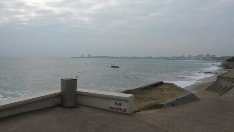 Divagation