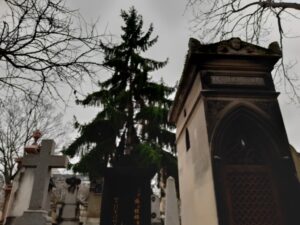 Les dormeurs de Montparnasse