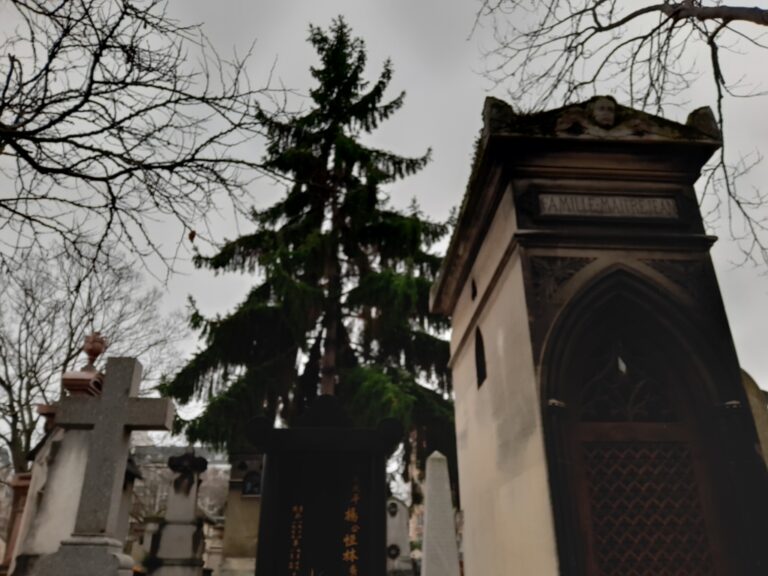 Les dormeurs de Montparnasse